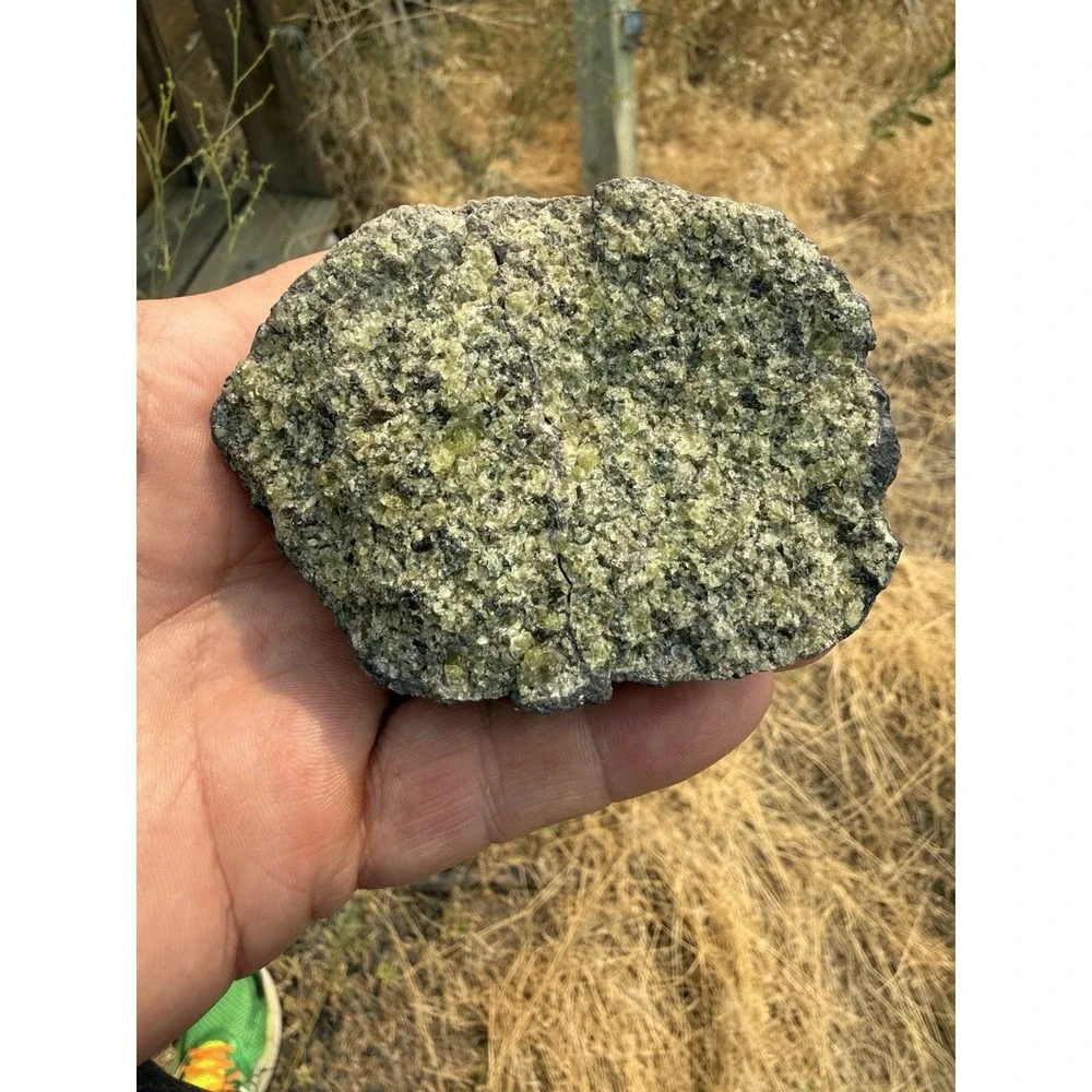 Kilbourne Hole NM Mantle Xenolith Peridotite Olivine Geology Rock Specimen